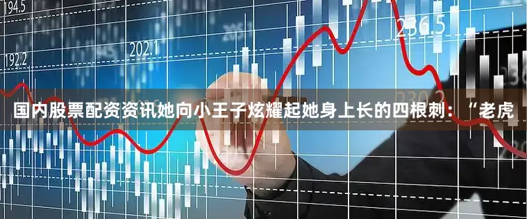 国内股票配资资讯她向小王子炫耀起她身上长的四根刺：“老虎
