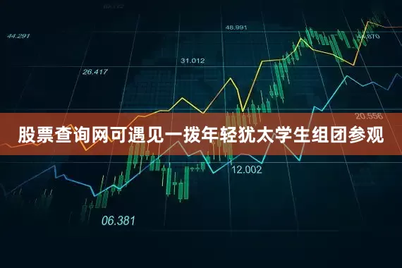 股票查询网可遇见一拨年轻犹太学生组团参观