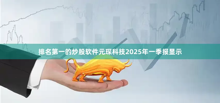 排名第一的炒股软件元琛科技2025年一季报显示