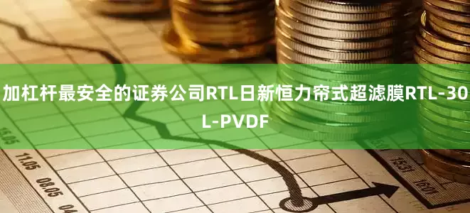 加杠杆最安全的证券公司RTL日新恒力帘式超滤膜RTL-30L-PVDF